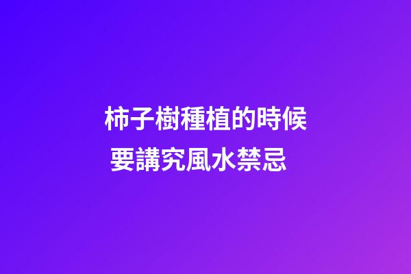 柿子樹種植的時候 要講究風水禁忌